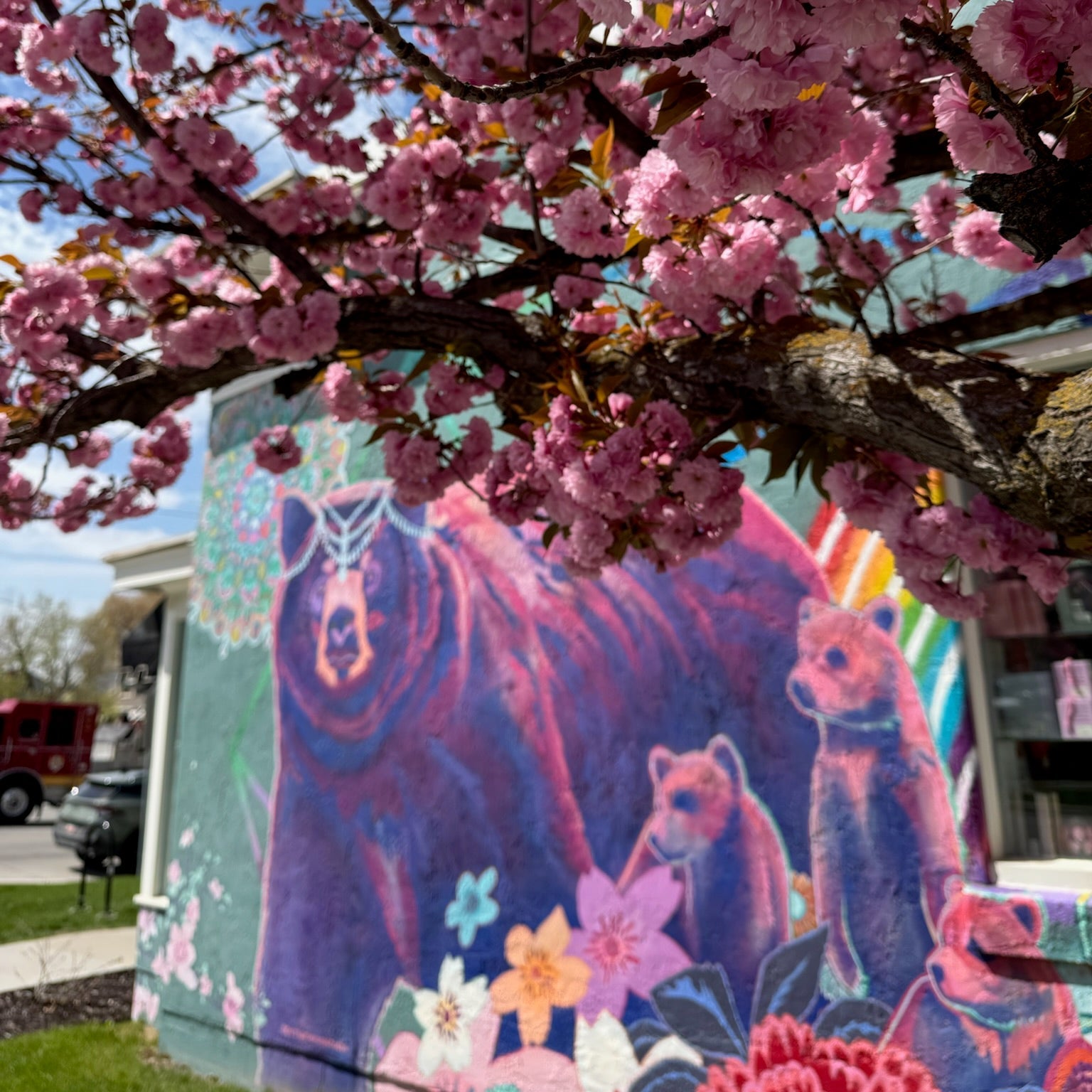 Pink cherry blossoms in front of a colorful mural of bears and flowers on a building.
